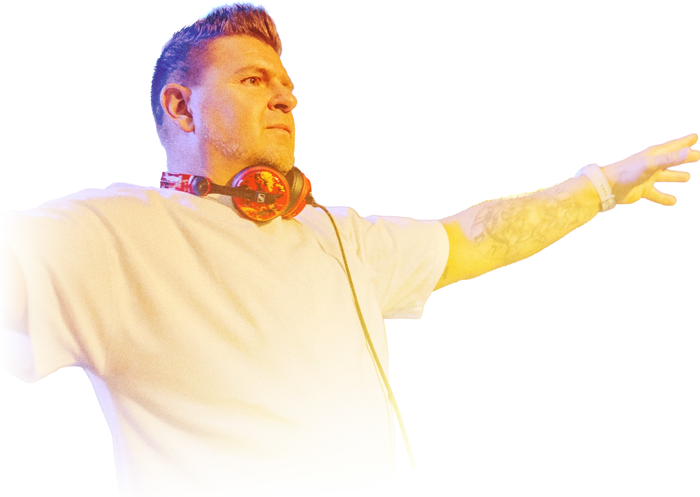 David DM live
